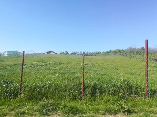 Teren - Dorobanti