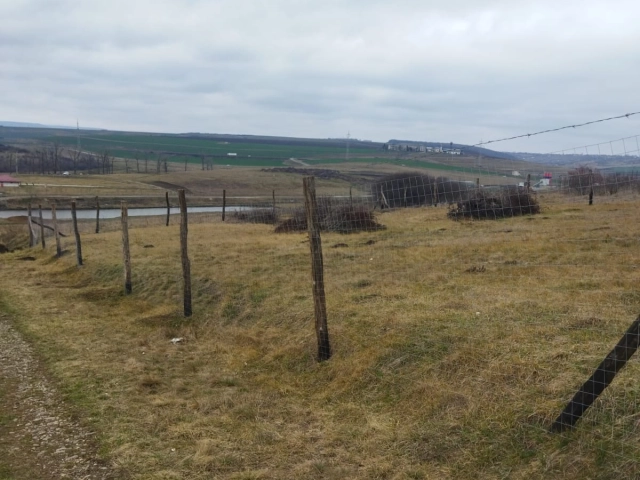 Teren - Valea Adanca