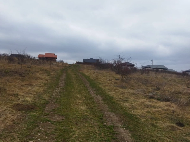 Teren - Valea Adanca