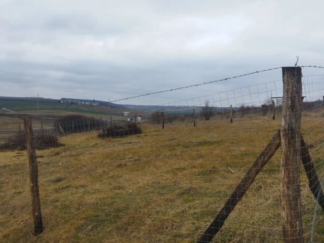 Teren - Valea Adanca