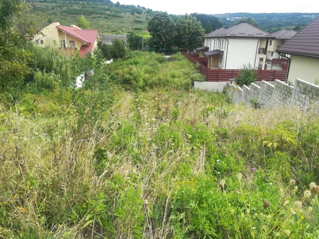 Teren - Barnova