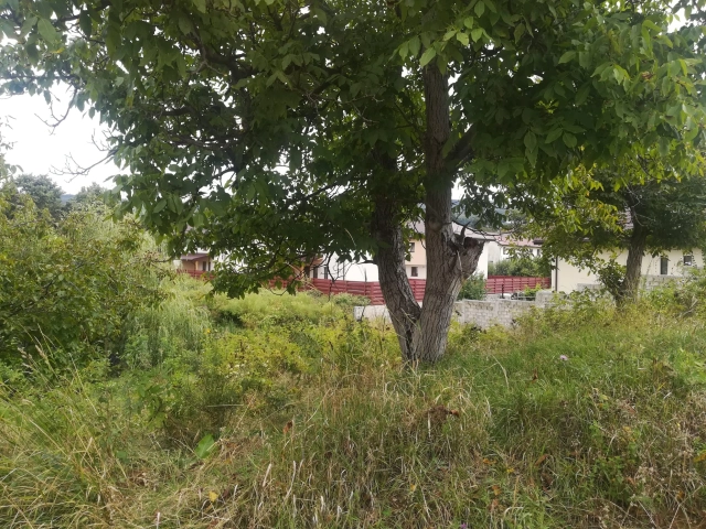 Teren - Barnova