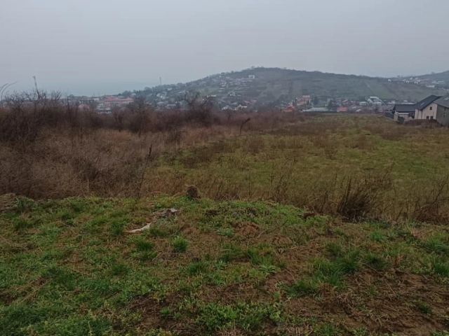 Teren - Tomesti