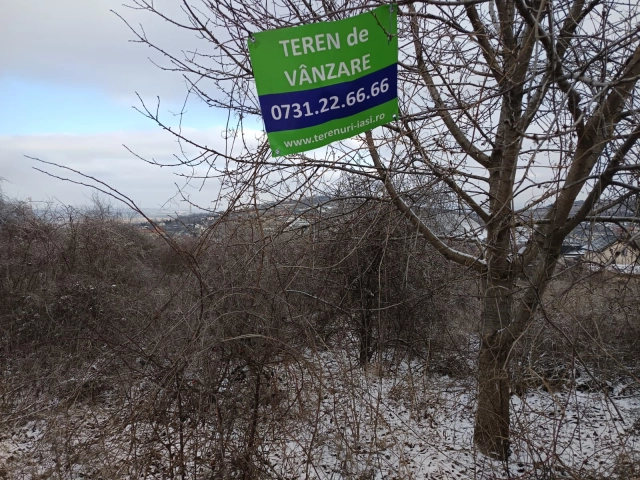 Teren - Tomesti