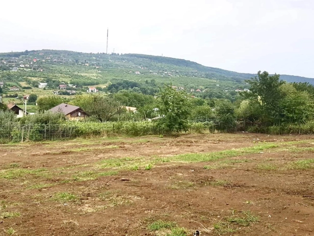 Teren - Barnova