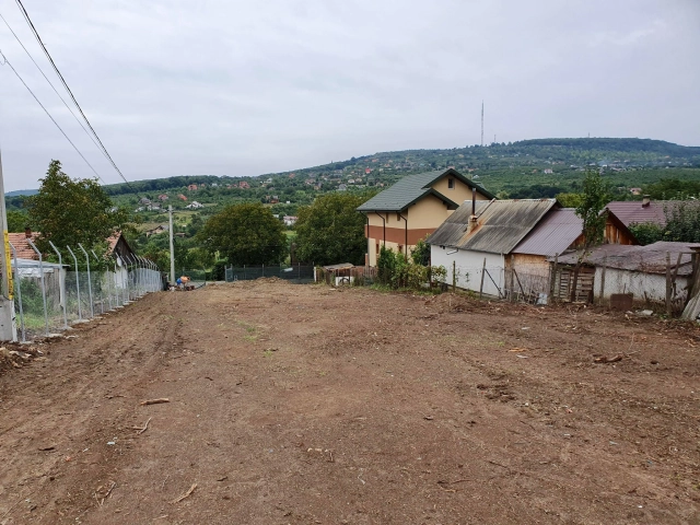 Teren - Barnova