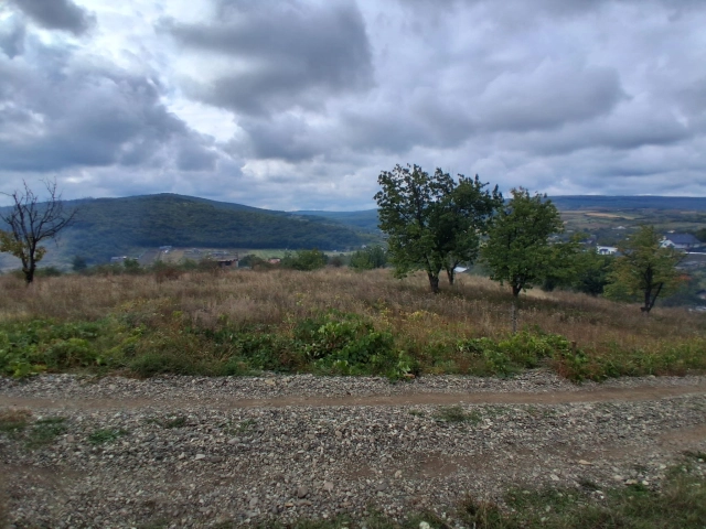 Teren - Tomesti