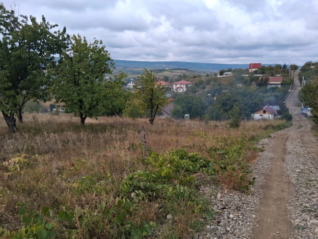Teren - Tomesti