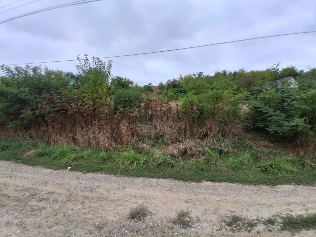 Teren - Ciurea
