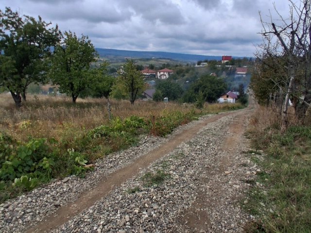 Teren - Tomesti