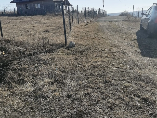 Teren - Tomesti