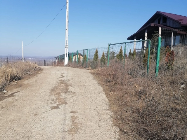 Teren - Tomesti
