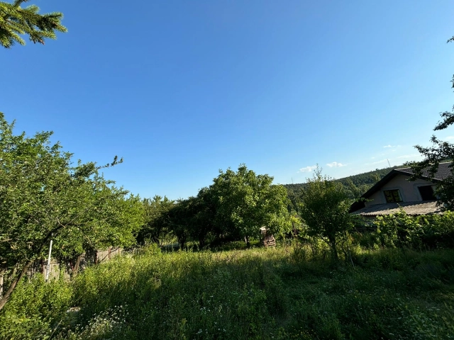 Teren - Valea Adanca