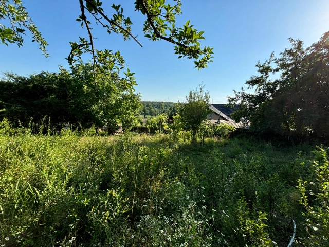 Teren - Valea Adanca