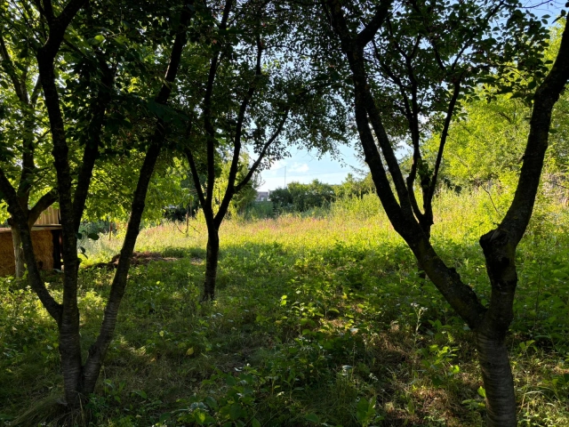 Teren - Valea Adanca