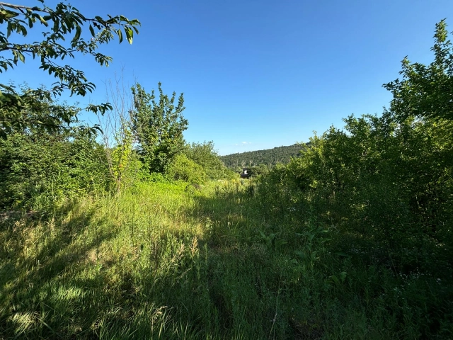 Teren - Valea Adanca