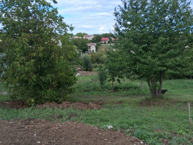 Teren - Valea Adanca