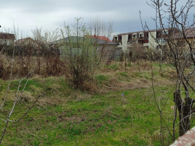 Teren - Valea Adanca